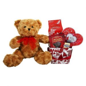 bear chocolate gift