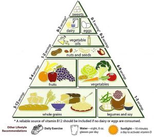  Meatless food pyramid serves as a guideline for vegetarian- based diets. image used with permission from wikimedia through a creative commons license