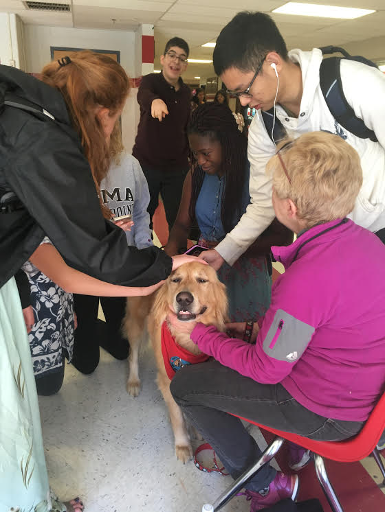 Students gather around to pet a therapy dog during lunch by the lower gym on Oct. 25. Therapy dogs come to McLean several times during the school year. 