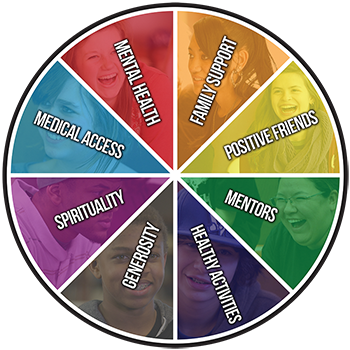 The wheel of support, the iconic representation of of the different healthy support systems the organization recommends. 