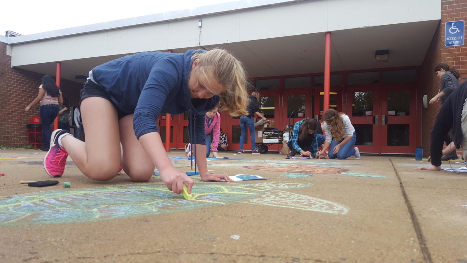 Freshman Katherine Walker draws a sea turtle to bring awareness to endangered species. Art students drew dozens of chalk animals at the rock entrance of McLean.