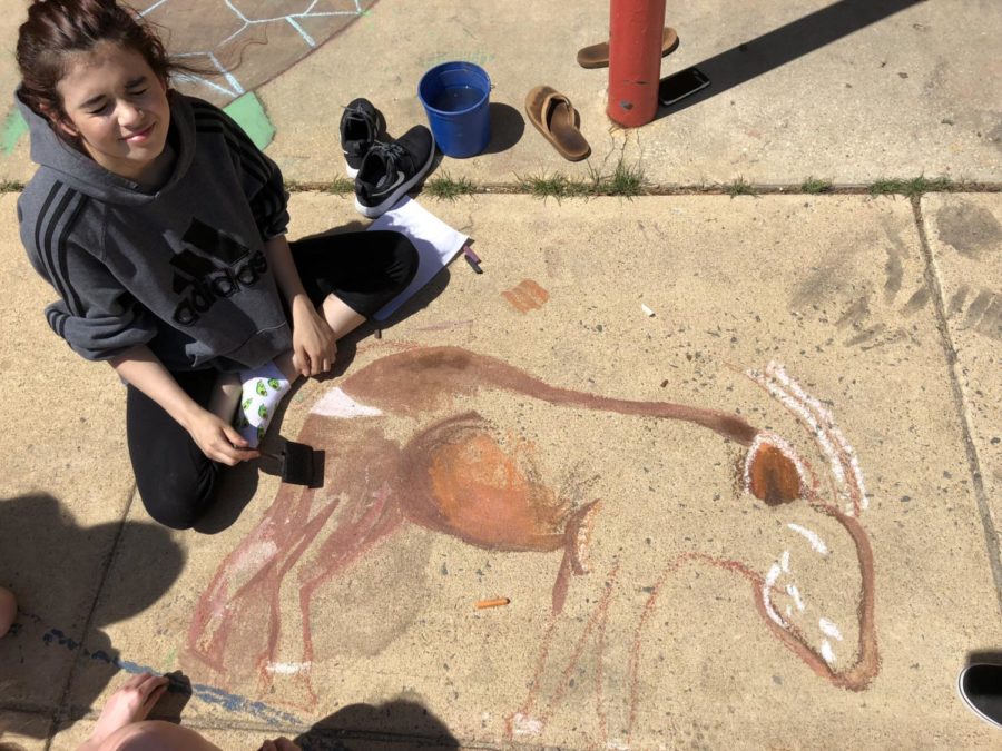 On May 3, junior Lauren Grobman works on her endangered species chalk drawing of an antelope.