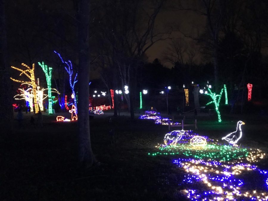 Meadowlark Gardens light up the holiday season
