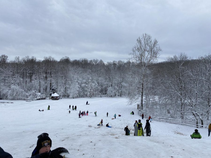 Sliding Down the Slopes — Students enjoy their last days off by sledding. This was a nice break from piling up school work.