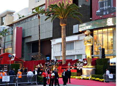 The Red Carpet where stars will meet fans and talk to interviewers before the Oscars ceremony begins.