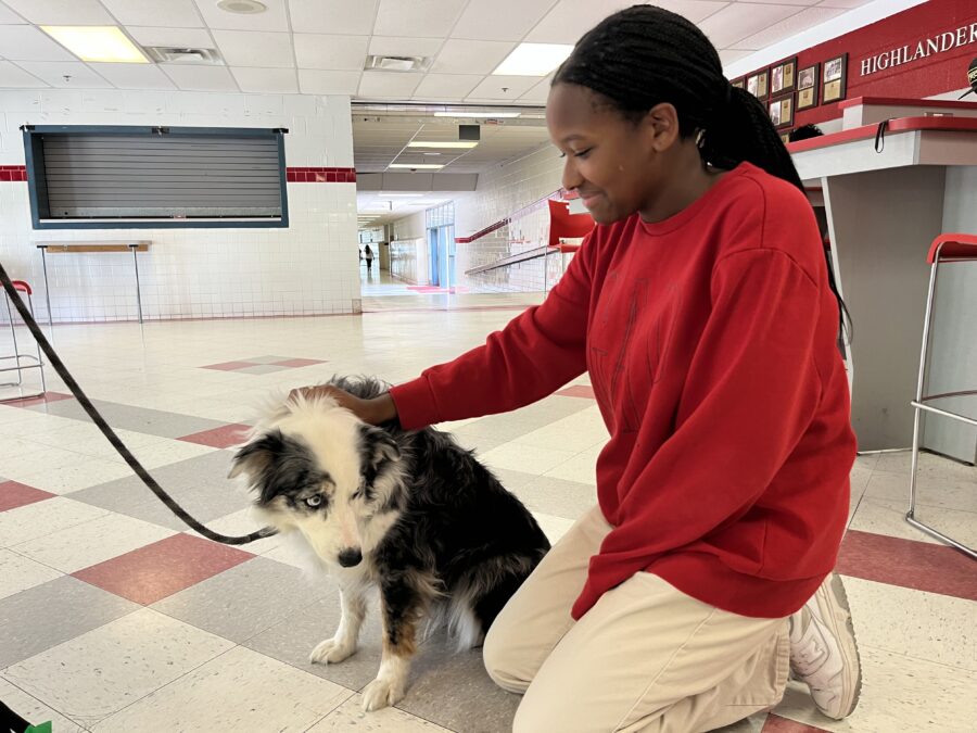Junior Iman Monday takes time to destress by playing with the therapy dogs between her classes.