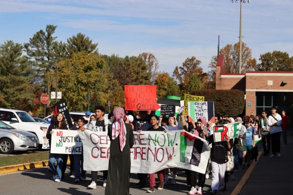 McLean students host Palestine solidarity walkout