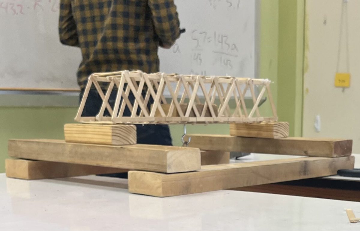 Physics classes craft bridges in new project aimed to merge creativity with core principles.
