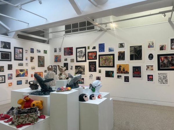An array of student-art pieces adorn the walls of the McLean Community Center. In honor of Youth Art Month, the McLean Project for the Arts (MPA) organization hosted their annual Youth Art Show. The exhibition will continue until Mar. 30.