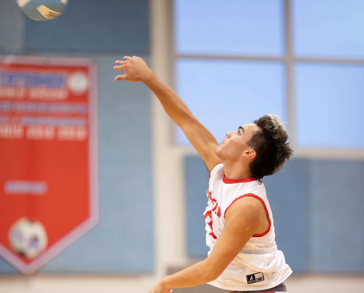 Senior outside hitter Luke Cowan spikes a ball across the net in their match against West Springfield. McLean won the match 3-0. 