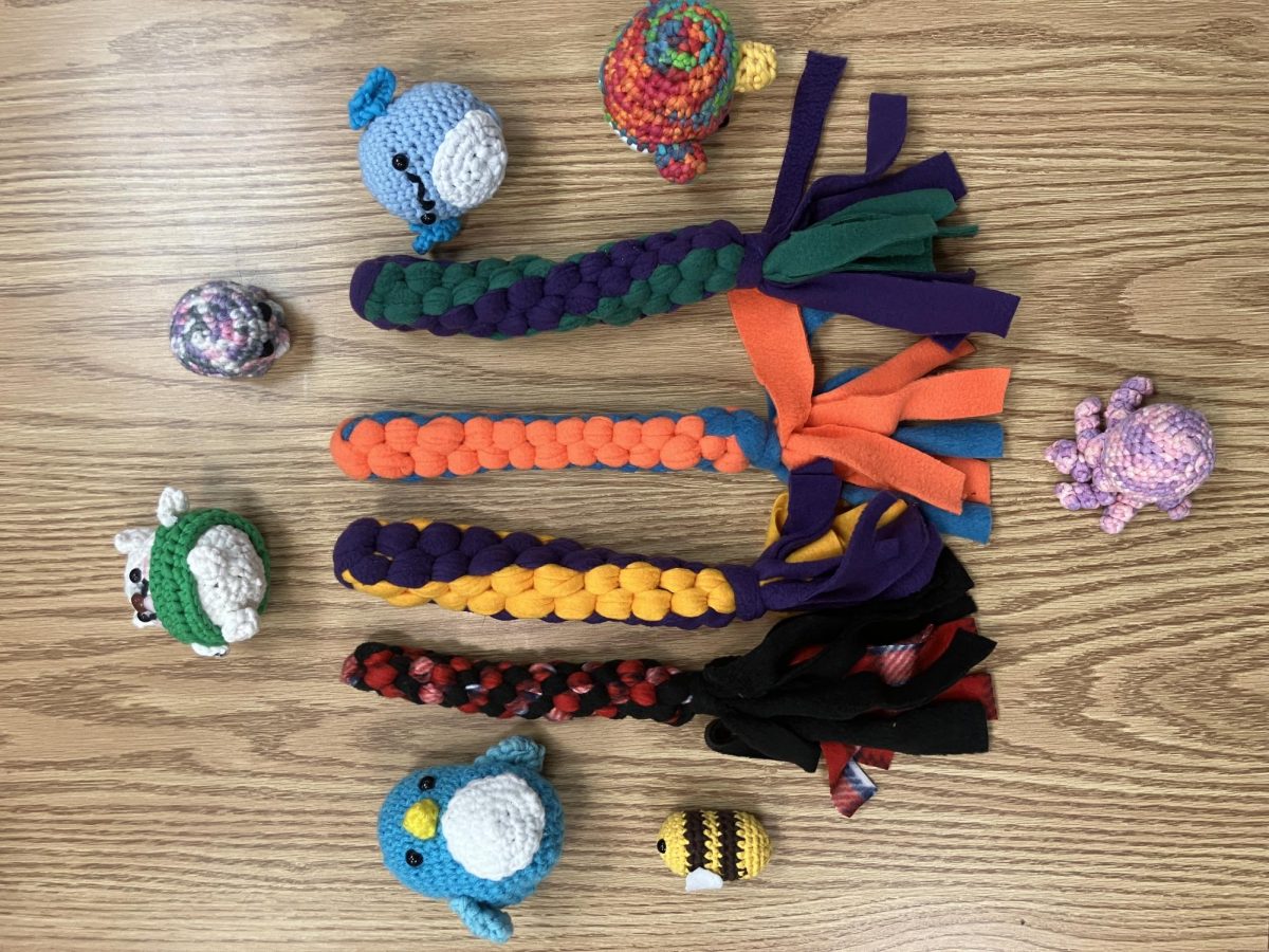 An assortment of  dogs toys and stress pets by McLean students. The toys are easily created, and the librarians provide assistance through every step of the way.