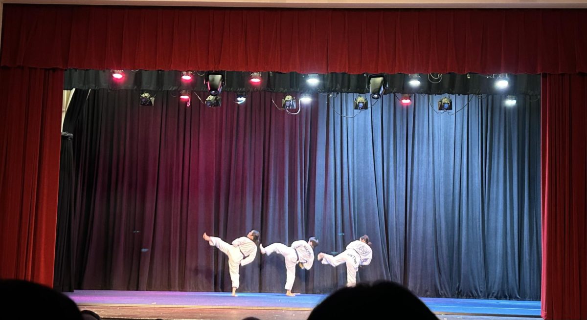The Martial Arts performers perform traditional Taekwondo, representing their culture through a variety of moves. 