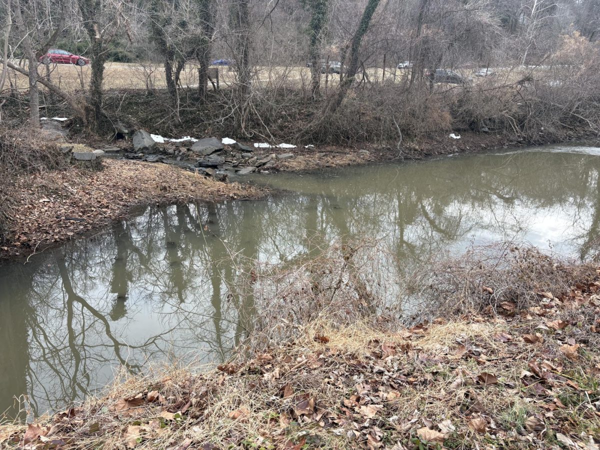 The Potomac River with sewage in it -the pollution in the river has reached dangerous heights after a sewage leak in Maryland.