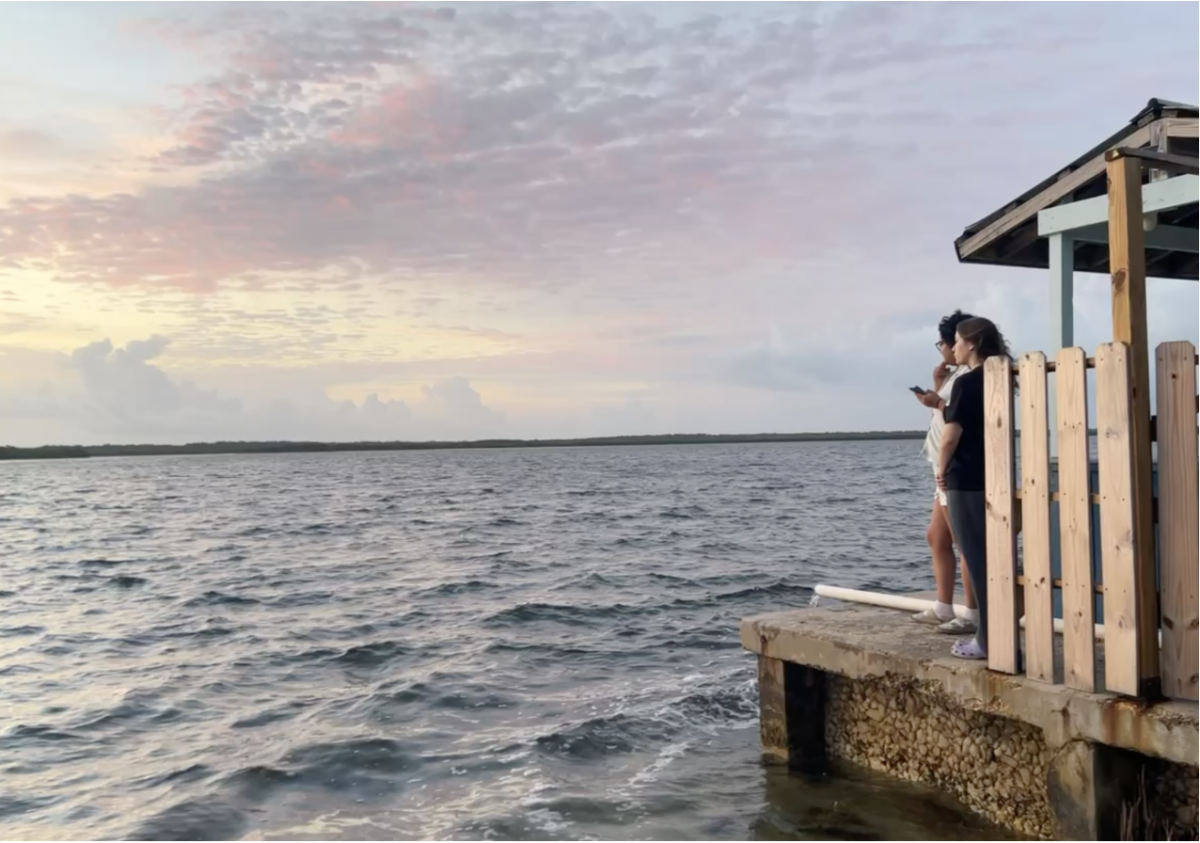 Students admire the beautiful scenery of Key Largo, Florida. The water is filled with marine life that they have learned about in class.