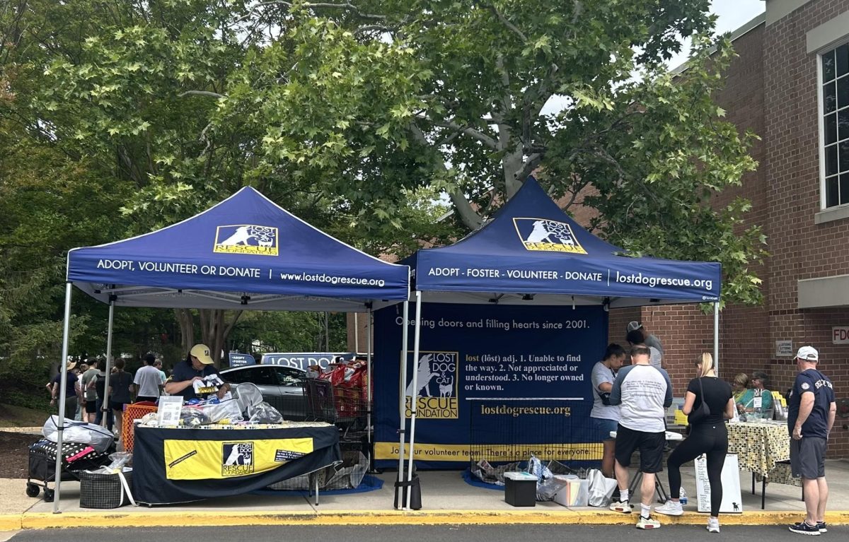 Volunteers came before the event to set up the tents and upload the dogs. Majority of the event was volunteer run, and they included teenagers, parents and other community members.