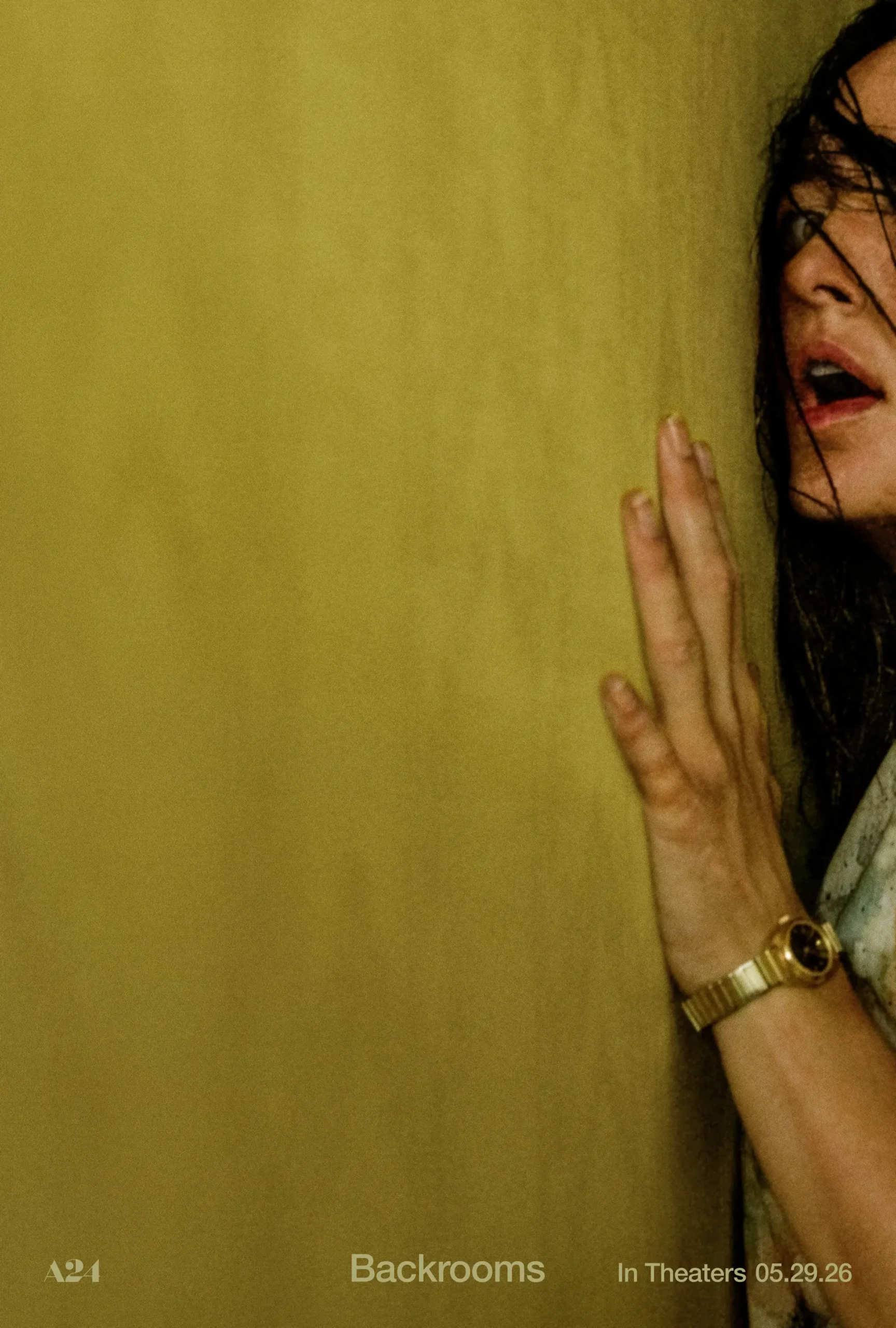 Official poster for the Backrooms movie. The movie was directed by Kane Parsons and released on May 29.